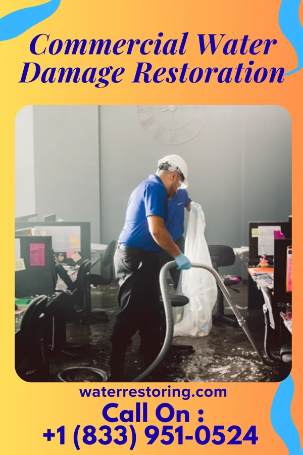Commercial Water Damage Restoration in Manitou Beach-Devils Lake, MI