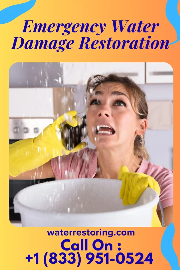 Emergency Water Damage Restoration in Manitou Beach-Devils Lake, MI