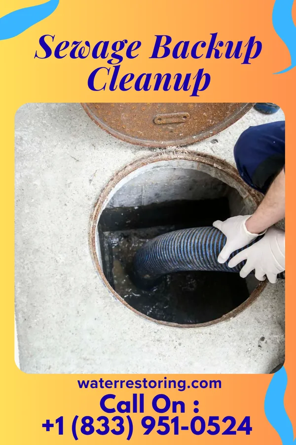 Sewage Backup Cleanup in Manitou Beach-Devils Lake, MI